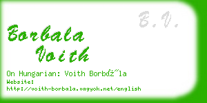 borbala voith business card